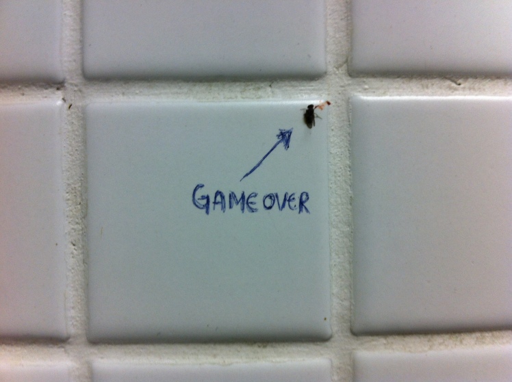 Game over_mosquito